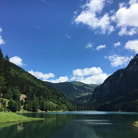 Apartman Colibri Uno *